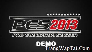 Tải Game B&oacute;ng Đ&aacute; Pes 2013