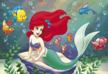 Game Vườn Thủy Cung 1.0.2