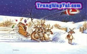 Hình Ảnh Noel Đẹp