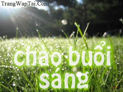 Sms Ch&agrave;o Ng&agrave;y Mới