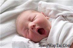 Sms Ch&uacute;c Ngủ Ngon