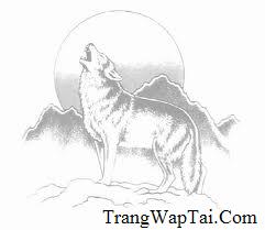 Sms K&iacute; Tự Đặc Biệt