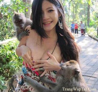 Sms Xếp H&igrave;nh Động Vật